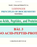 Bài giảng Nguyên lý hoá sinh: Bài 3A - PGS.TS. Bùi Văn Lệ