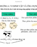 Bài giảng Chương 4: Vi sinh vật và ứng dụng