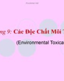 Bài giảng Độc học môi trường - Chương 9. Các độc chất môi trường