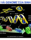 Bài giảng Sinh học phân tử: Chương 3