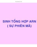 CÁC QUÁ TRÌNH SINH HỌC Ở MỨC PHÂN TỬ part 3