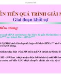 CÁC QUÁ TRÌNH SINH HỌC Ở MỨC PHÂN TỬ part 9