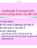 CÁC QUÁ TRÌNH SINH HỌC Ở MỨC PHÂN TỬ part 6