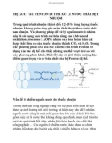 HỆ XÚC TÁC FENTON DỊ THỂ XỬ LÍ NƯỚC THẢI DỆT NHUỘM