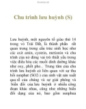 Tài liệu: Chu trình lưu huỳnh (S)