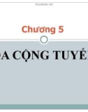 Chương 5: Đa cộng tuyến