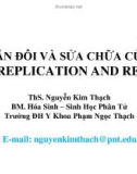 Bài giảng Hóa sinh - Bài: Sự nhân đôi và sửa chữa của DNA (DNA replication and repair)