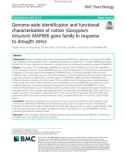 Genome-wide identification and functional characterization of cotton (Gossypium hirsutum) MAPKKK gene family in response to drought stress