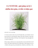 Cỏ VETIVER - giải pháp xử lý ô nhiễm đơn giản, rẻ tiền và hiệu quả