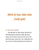 Sinh lý học tiêu hóa (ruột già)