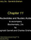 Lecture Biochemistry (2/e): Chapter 11 - Reginald Garrett, Charles Grisham