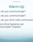 Lecture AP Biology - Chapter 11: Cell communication