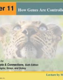 Lecture Biology: Concepts and connections (Sixth edition) – Chapter 11