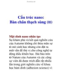 Cấu trúc nano: Bàn chân thạch sùng (tt)