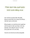 Phân tách hiệu quả hydro khỏi nước bằng virus