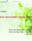 BÀI TIỂU LUẬN PHÂN TÍCH NHIỆT TRỌNG LƯỢNG