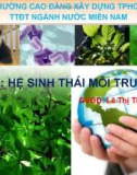 Bài giảng Hệ sinh thái môi trường – Lê Thị Thái Hà