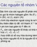 Bài giảng Chương 8: Các nguyên tố phân nhóm VII