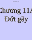 Bài giảng Địa chất đại cương: Chương 11A - Đứt gãy