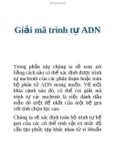 Giải mã trình tự ADN