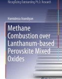 Ebook Methane combustion over lanthanum-based perovskite mixed oxides