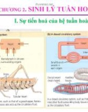 Bài giảng Sinh lý động vật: Chương 2 - Sinh lý tuần hoàn máu