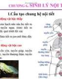 Bài giảng Sinh lý động vật: Chương 6 - Sinh lý nội tiết