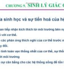 Bài giảng Sinh lý động vật: Chương 9 - Sinh lý giác quan