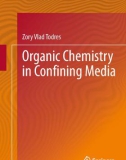 Ebook Organic chemistry in confining media