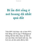 Bí ẩn đời sống ở nơi hoang dã nhất quả đất