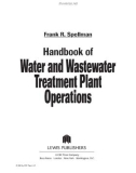 Handbook of Water and Wastewater Treatment Plant Operations