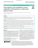 Transcriptome and metabolome reveal redirection of flavonoids in a white testa peanut mutant