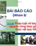 Chủ đề: Pháp luật về bảo vệ tài nguyên rừng (bao gồm động thực vật quý hiếm)