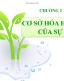 Bài giảng Sinh học đại cương - Chương 2: Cơ sở hóa học của sự sống