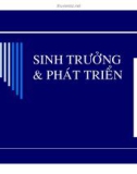 Bài giảng Sinh trưởng và phát triển