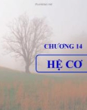 Bài giảng Sinh học đại cương - Chương 14: Hệ cơ