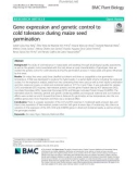 Gene expression and genetic control to cold tolerance during maize seed germination