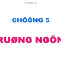 Bài giảng Hoá học và hoá lý polyme: Chương 5