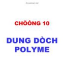 Bài giảng Hoá học và hoá lý polyme: Chương 10