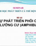 Đề tài SỰ PHÁT TRIỂN PHÔI CỦA LƯỠNG CƯ (AMPHIBIA