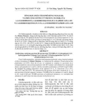 Tổng hợp, phân tích phổ hồng ngoại (ir) và phổ cộng hưởng từ proton-(1h-nmr) của 1-(4-clorophenyl)-3-(8-hiđroxiquinolin-5-yl)prop-2-en-1-on và 3-(8-hiđroxiquinolin 5 yl)-1-(4-nitrophenyl)prop-2- en-1-on