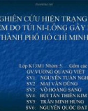 Nghiên cứu hiện trạng ô nhiễm túi ni-long gây ra ở thành phố Hồ Chí Minh