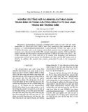 Nghiên cứu tổng hợp aluminosilicat mao quản trung bình có thành cấu trúc zeolit X từ cao lanh trong môi trường kiềm