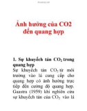 Ảnh hưởng của CO2 đến quang hợp