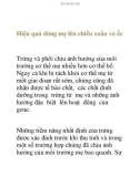 Hiệu quả dòng mẹ lên chiều xoắn vỏ ốc