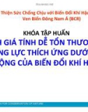 Bài giảng Khóa tập huấn Đánh giá tính dễ tổn thương và năng lực thích ứng dưới tác động của biến đổi khí hậu