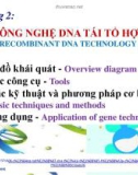 Bài giảng Nhập môn Công nghệ sinh học: Chương 2 - TS. Võ Thị Xuyến