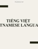 Bài giảng Tiếng Việt (Vietnamese Language)