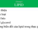 Bài giảng Chương 4: Lipid