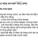 Bài giảng Hóa sinh động vật - Trao đổi lipid ở động vật